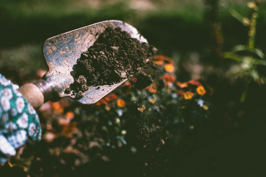 August 2025 Ritual: The Offering